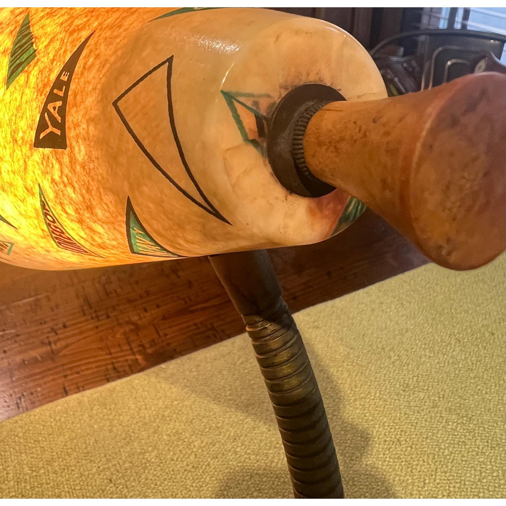 Vintage Collegiate Pennants Gooseneck Desk Lamp